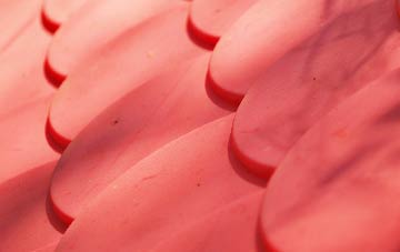 Comber plastic roof costs