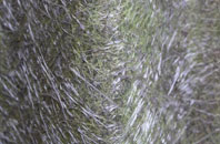 Comber fibreglass roof work